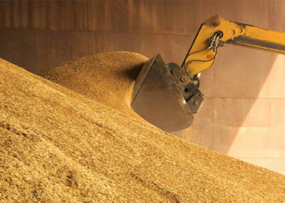 Gestion du stock de céréales en temps réel : un levier stratégique pour les coopératives agricoles