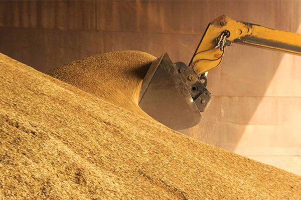 Gestion du stock de céréales en temps réel : un levier stratégique pour les coopératives agricoles